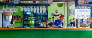 Eine Frau steht hinter einer gr&uuml;nen Bar, umgeben von Flaschen und Gl&auml;sern.