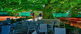 Ein Au&szlig;enbereich mit mehreren leeren St&uuml;hlen und Tischen unter einem gro&szlig;en Baum mit dichtem Laub. Im Hintergrund sind Tennispl&auml;tze zu sehen.